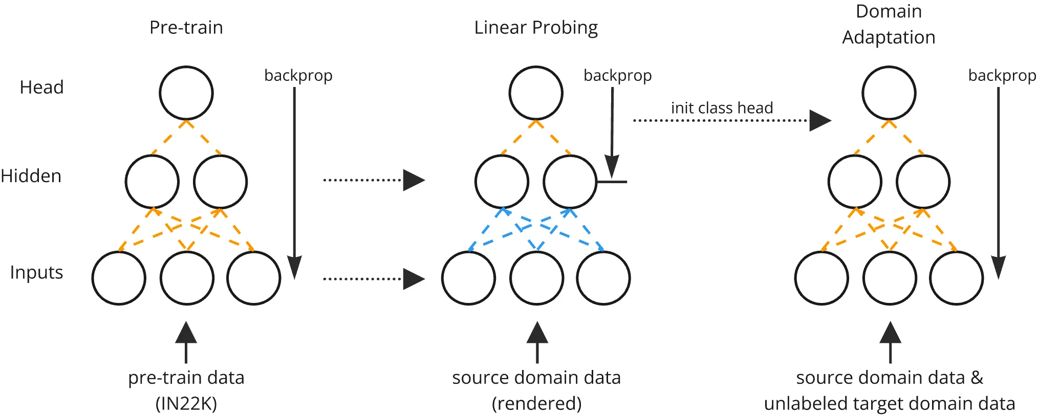 brief summary of the synthnet processes